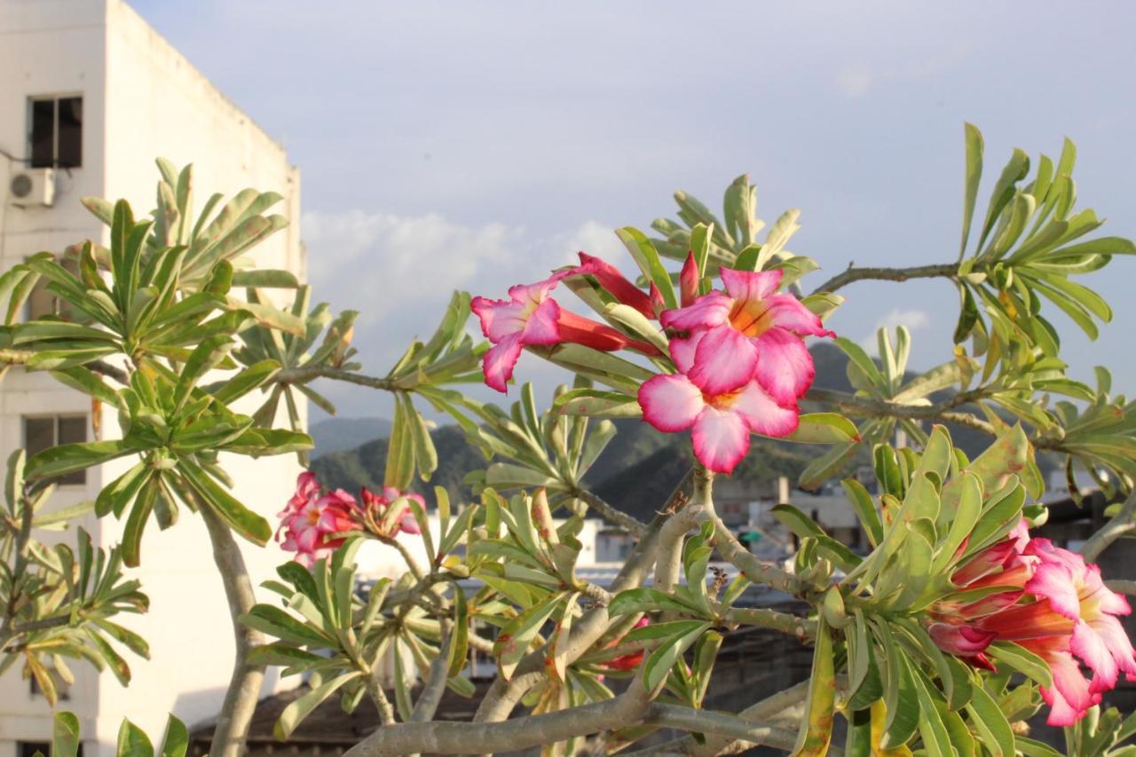 Hotel El Olimpo ซันตามาร์ตา ภายนอก รูปภาพ